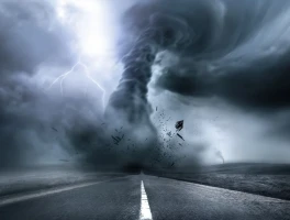 Disaster: What's Going On?