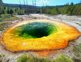 Caldera: The Science, the Silence